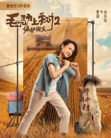 中文在线视频观看